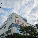 강남 성형외과 (디에이, 나나, 브라운) 쌍꺼풀 수술 상담 후기