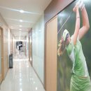 더스크린골프 이미지