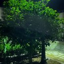 씨유 약수화물차휴게소점 | 일상기록 5월