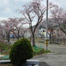 소낙스 | 부산 광택 소낙스 카케어 부산기장점 방문후기