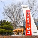 명품한우곰탕 이미지