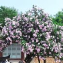 한국생명공학연구원