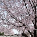 경기도 수원시 팔달구 정조로 이미지