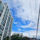 작은공연장-단 이미지