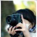 사진을 찍다 이미지