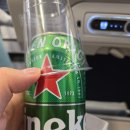 873 | [KE873] 인천-대련(2-4-2) KE873 비행 후기