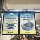 미진슈즈