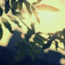 재성축산 이미지