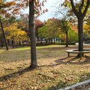 일동라스베가스 공원 이미지