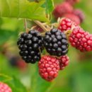 논산시청 | 논산 시청 맛집 추천 10선