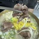 밀미 뼈칼국수