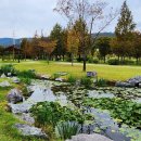 장자호수공원 이미지