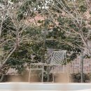 호근모루 이미지