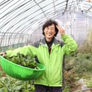 영농조합법인 참좋은가평비료 | 믿고먹는 나눔영농조합법인 제철 시골맛보따리