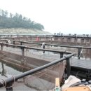 항도어촌체험마을 이미지