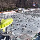 화천포레스트 이미지