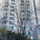 구성초교 이미지