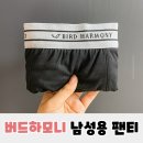 남자속옷 &lt;모달 버드하모니 클래식 드로즈 팬티&gt; 10종 세트 착용 후기