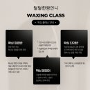 코몽 애견샵 | 대구 왁싱 전문 왁싱 교육 수강 10년 차 원장 해외 창업까지