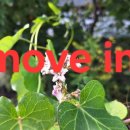 For delay dementia 1,078 Easy english 이미지