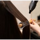 달리헤어 네이버블로그
