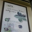 홍성면옥 이미지