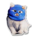 스마트캣 이미지