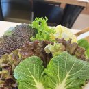 자연쌈밥식당 이미지