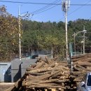 문산참숯가마 | [파주 숯가마] 문산참숯가마 🔥 | 숯가마 찜질방 | 내돈내산 후기