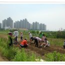 가좌농장 이미지