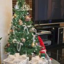 정원펜션 | 강릉에서 이렇게 조용한 독채는 오랜만이었어요, 숲정원펜션 체류 후기 🌿