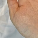 티피앤코 | 9월 공병템 (오드리앤영, 닥터지, 티피앤코)