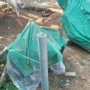 월강산하촌 이미지