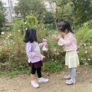 미소야 용인보정점 이미지