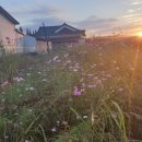 고서한국의원 이미지