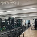 짐파시 이미지