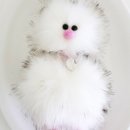 코지모지