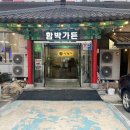 곡성-150 | [곡성] 함박가든 곡성터미널 맛집 산낙지 쭈꾸미 아구찜