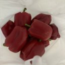 섭이네농장 이미지