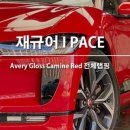 팀카스킨 이미지