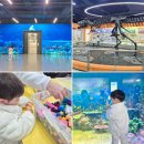 영종대로 277번길L | 영종도 인천학생과학관 아이랑 무료 이용 후기 | 주차부터 실내 체험까지 (예약X)