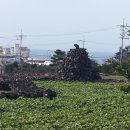 골왓마을방사탑 1호 이미지