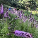 앞동산목장 이미지