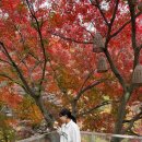 통일로1267번길 이미지