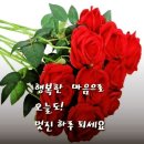 더에띠임 이미지