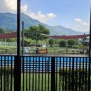 행복 애견방 이미지