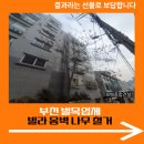 위성빌라 | 부천 벌목업체 빌라 옹벽 나무 철거