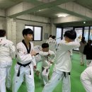 중남키즈태권도장 이미지