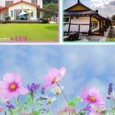 금광오산로 이미지