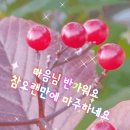 슬쩍 왔다가...♡ 이미지